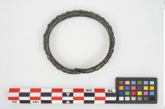 Foto von Bronzearmreif (NHMW-PRAE-026276)